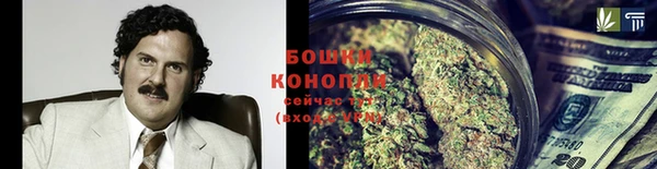 спиды Богородск
