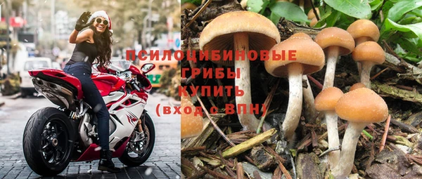 гашик Богородицк