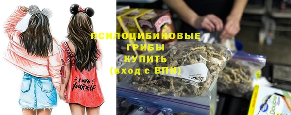 мдпв Богданович