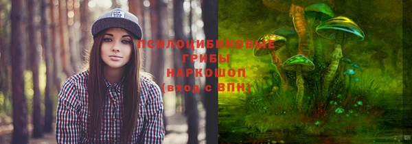 spice Белоозёрский