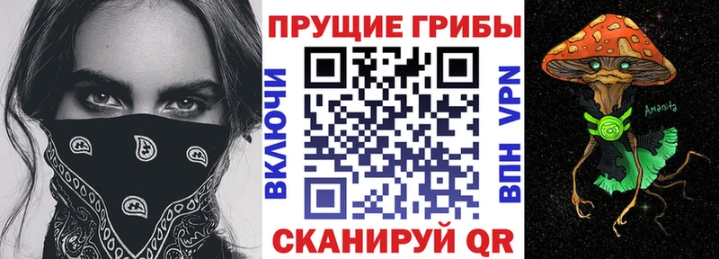 Купить  Котельниково  Галлюциногенные грибы прущие грибы 